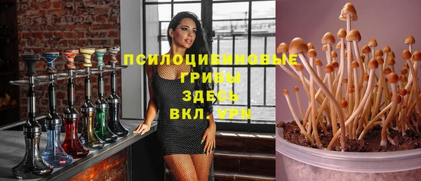 a pvp Новокубанск