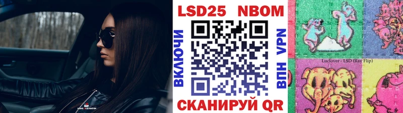 магазин    Кузнецк  hydra ссылка  Марки 25I-NBOMe 1,5мг 