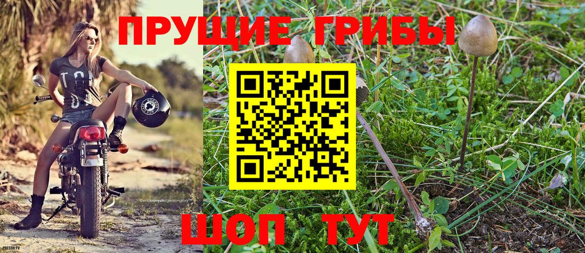 Псилоцибиновые грибы мухоморы Кузнецк