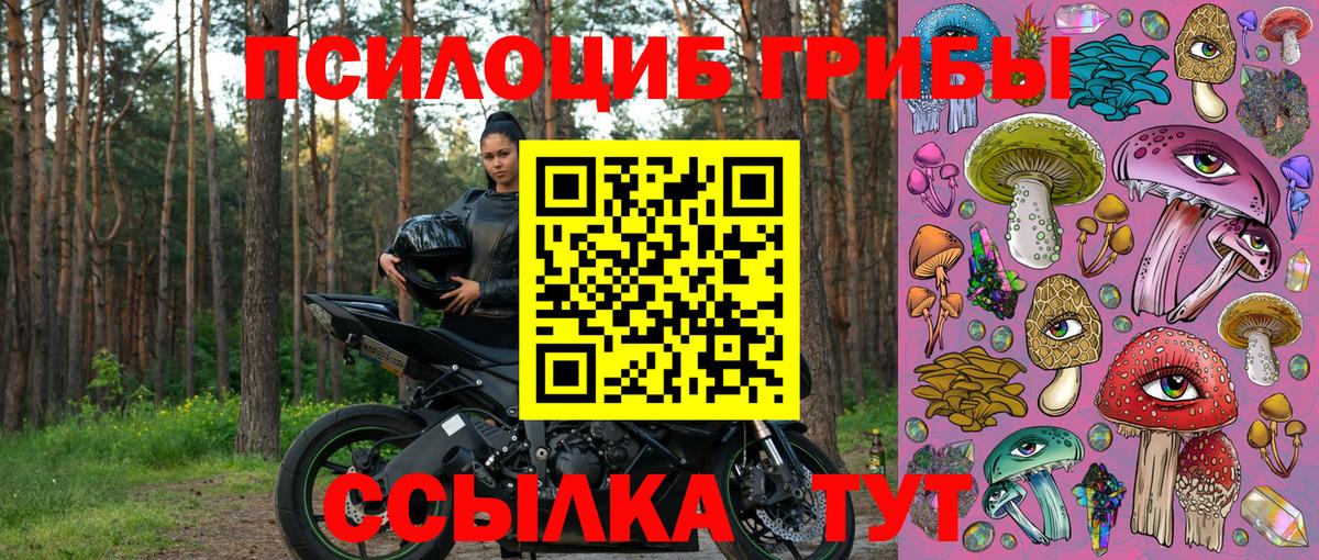 Галлюциногенные грибы Psilocybe  Псилоцибиновые грибы ЛСД  Кузнецк  Вход с VPN 