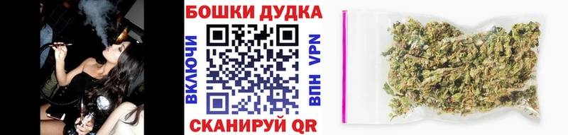Шишки марихуана SATIVA & INDICA  где найти наркотики  Кузнецк 